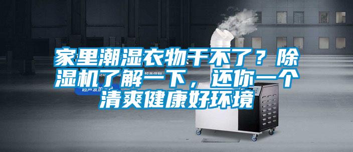 家里潮濕衣物干不了？除濕機了解一下，還你一個清爽健康好環(huán)境
