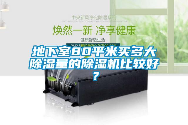 地下室80平米買多大除濕量的除濕機比較好？