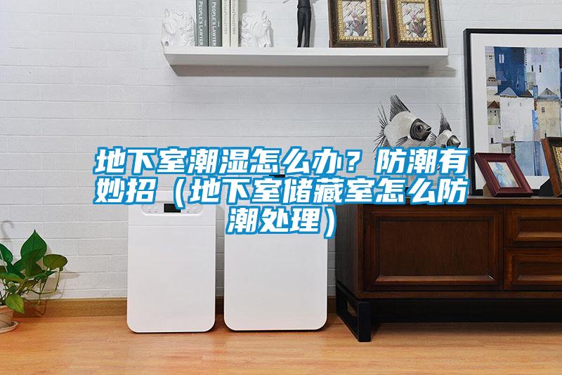 地下室潮濕怎么辦？防潮有妙招（地下室儲藏室怎么防潮處理）