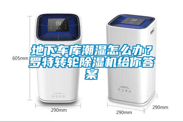 地下車庫(kù)潮濕怎么辦？羅特轉(zhuǎn)輪除濕機(jī)給你答案
