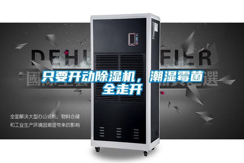 只要開動除濕機(jī)，潮濕霉菌全走開