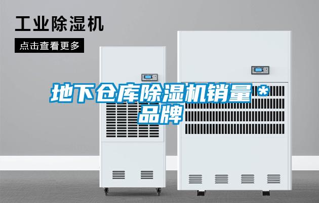 地下倉(cāng)庫(kù)除濕機(jī)銷(xiāo)量＊品牌