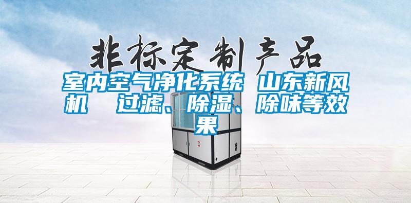 室內(nèi)空氣凈化系統(tǒng) 山東新風(fēng)機  過濾、除濕、除味等效果