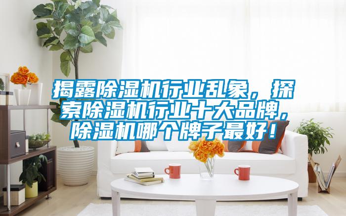 揭露除濕機(jī)行業(yè)亂象，探索除濕機(jī)行業(yè)十大品牌，除濕機(jī)哪個(gè)牌子最好！