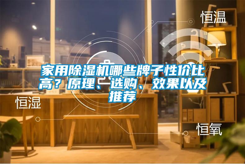 家用除濕機(jī)哪些牌子性?xún)r(jià)比高？原理、選購(gòu)、效果以及推薦