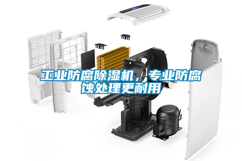 工業(yè)防腐除濕機(jī)，專(zhuān)業(yè)防腐蝕處理更耐用