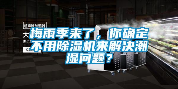 梅雨季來了，你確定不用除濕機來解決潮濕問題？