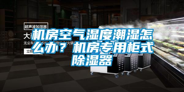 機(jī)房空氣濕度潮濕怎么辦？機(jī)房專用柜式除濕器