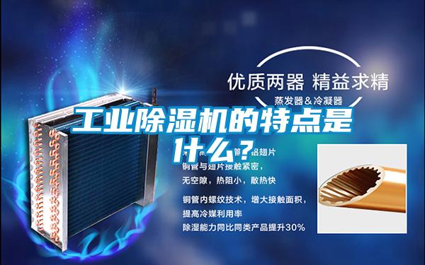工業(yè)除濕機(jī)的特點(diǎn)是什么？