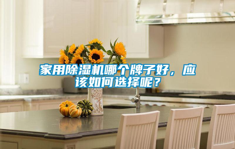 家用除濕機哪個牌子好，應(yīng)該如何選擇呢？