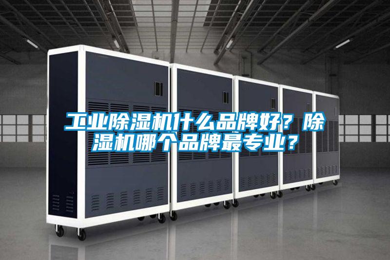 工業(yè)除濕機什么品牌好？除濕機哪個品牌最專業(yè)？
