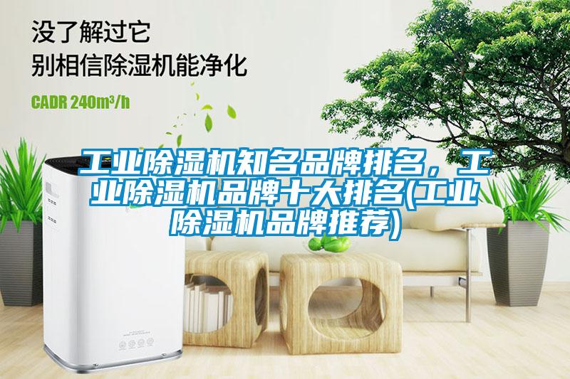 工業(yè)除濕機(jī)知名品牌排名，工業(yè)除濕機(jī)品牌十大排名(工業(yè)除濕機(jī)品牌推薦)