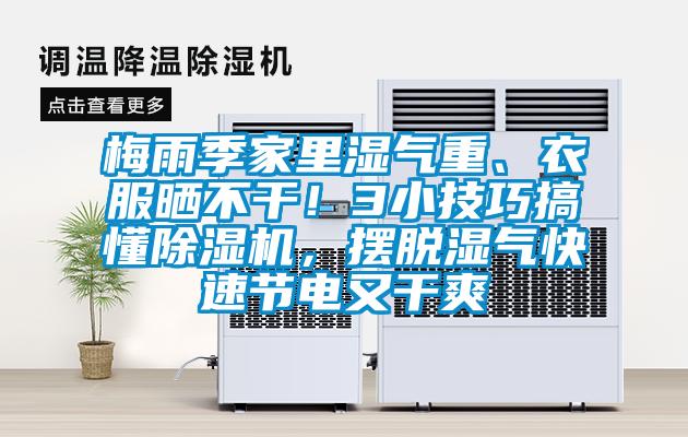 梅雨季家里濕氣重、衣服曬不干！3小技巧搞懂除濕機，擺脫濕氣快速節(jié)電又干爽
