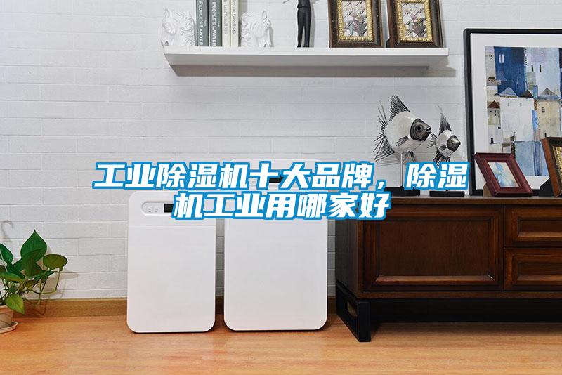 工業(yè)除濕機十大品牌，除濕機工業(yè)用哪家好