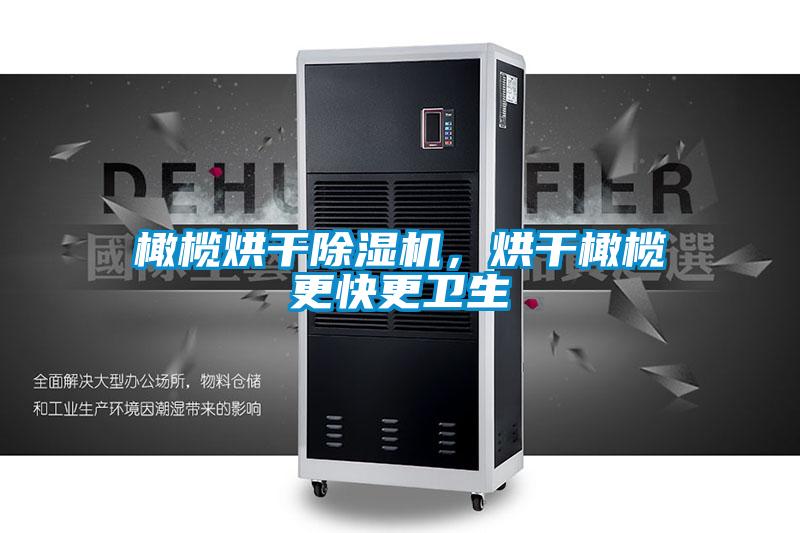 橄欖烘干除濕機(jī)，烘干橄欖更快更衛(wèi)生