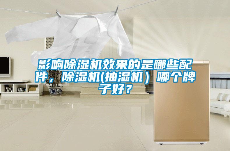 影響除濕機效果的是哪些配件，除濕機(抽濕機）哪個牌子好？