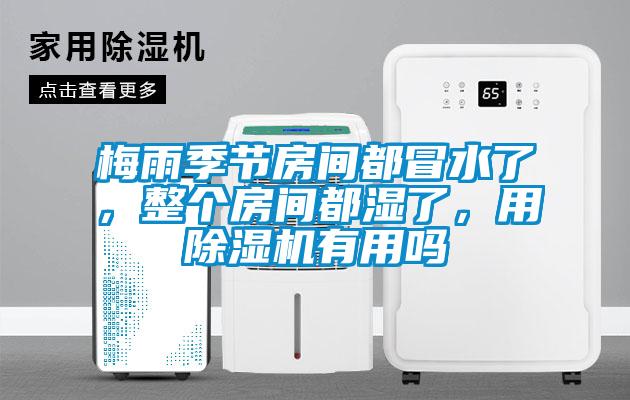 梅雨季節(jié)房間都冒水了，整個(gè)房間都濕了，用除濕機(jī)有用嗎