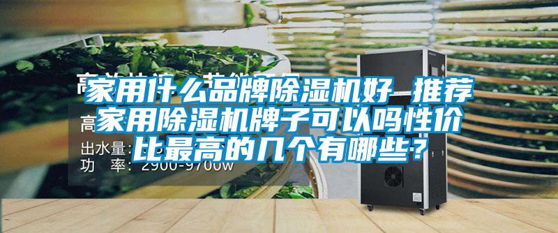 家用什么品牌除濕機好 推薦家用除濕機牌子可以嗎性價比最高的幾個有哪些？
