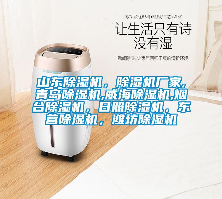 山東除濕機，除濕機廠家,青島除濕機,威海除濕機,煙臺除濕機，日照除濕機，東營除濕機，濰坊除濕機
