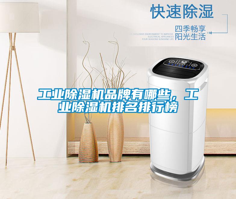 工業(yè)除濕機品牌有哪些，工業(yè)除濕機排名排行榜