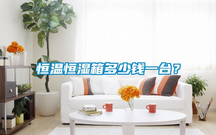 恒溫恒濕箱多少錢一臺？