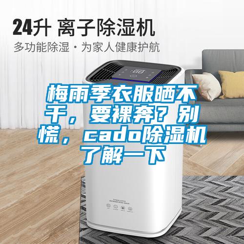 梅雨季衣服曬不干，要裸奔？別慌，cado除濕機了解一下
