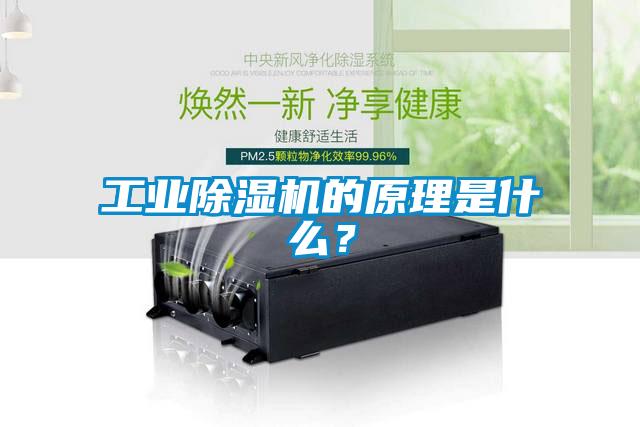 工業(yè)除濕機(jī)的原理是什么？