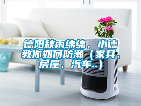 德陽秋雨綿綿，小德教你如何防潮（家具、房屋、汽車..）
