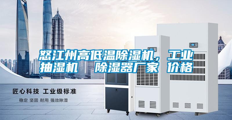 怒江州高低溫除濕機，工業(yè)抽濕機  除濕器廠家 價格