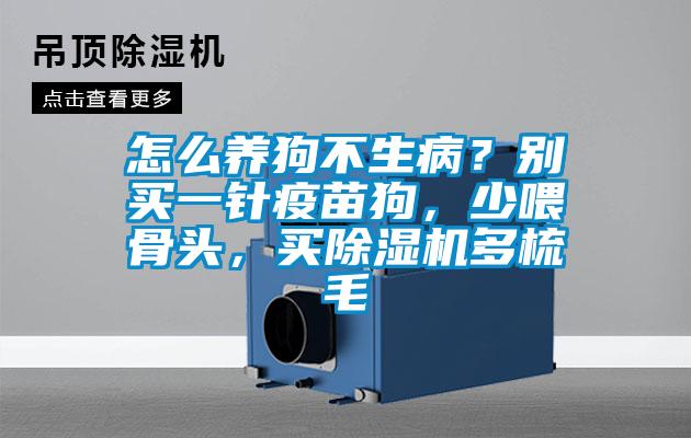 怎么養(yǎng)狗不生?。縿e買一針疫苗狗，少喂骨頭，買除濕機(jī)多梳毛