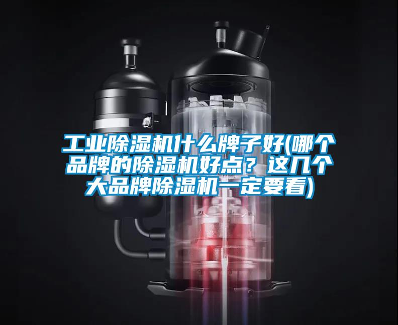工業(yè)除濕機什么牌子好(哪個品牌的除濕機好點？這幾個大品牌除濕機一定要看)