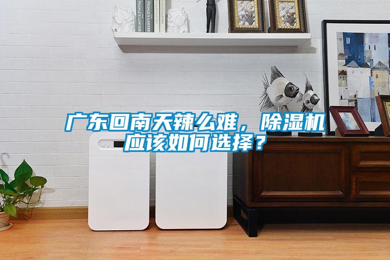 廣東回南天辣么難，除濕機(jī)應(yīng)該如何選擇？