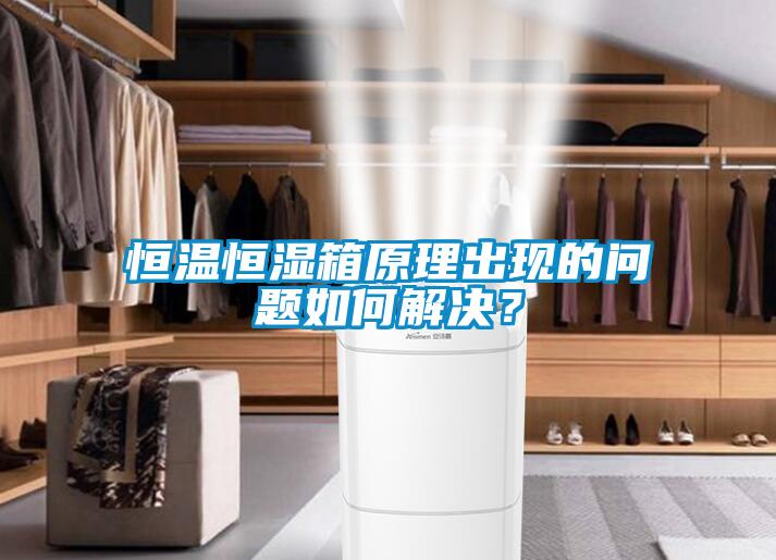 恒溫恒濕箱原理出現的問題如何解決？