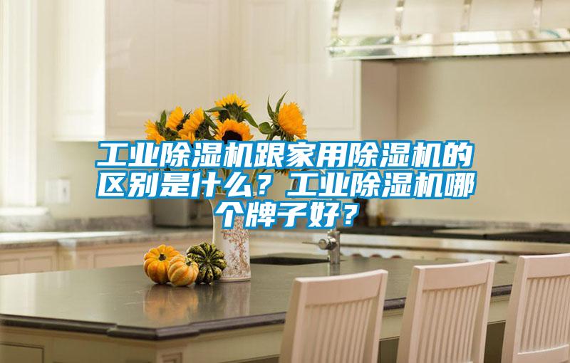工業(yè)除濕機(jī)跟家用除濕機(jī)的區(qū)別是什么？工業(yè)除濕機(jī)哪個(gè)牌子好？