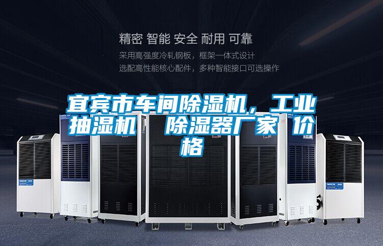 宜賓市車間除濕機，工業(yè)抽濕機  除濕器廠家 價格