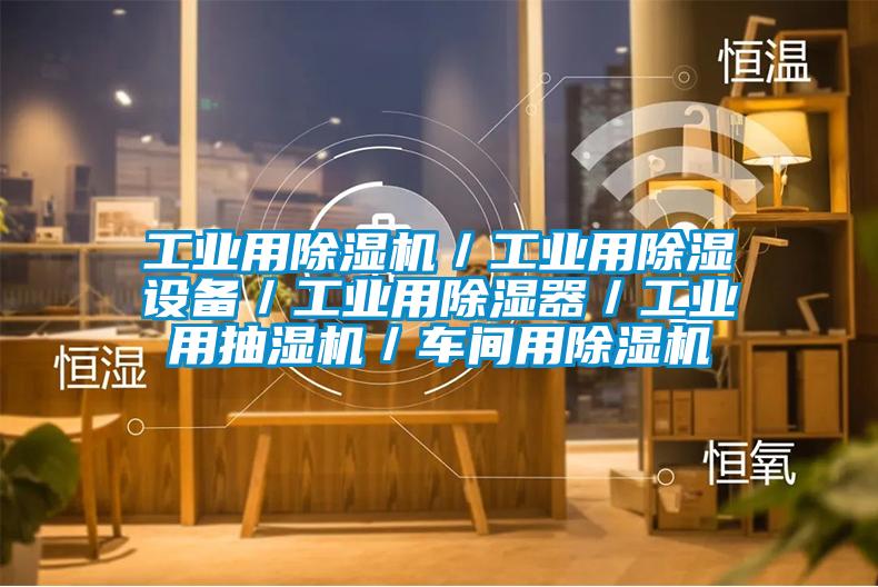 工業(yè)用除濕機(jī)／工業(yè)用除濕設(shè)備／工業(yè)用除濕器／工業(yè)用抽濕機(jī)／車(chē)間用除濕機(jī)