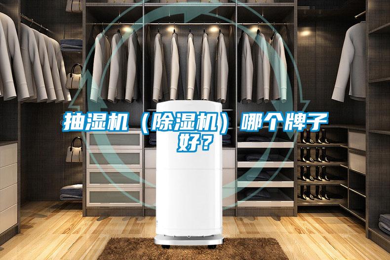 抽濕機（除濕機）哪個牌子好？