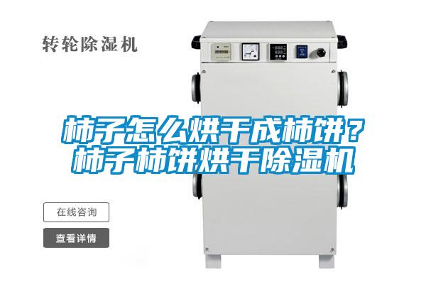 柿子怎么烘干成柿餅？柿子柿餅烘干除濕機(jī)