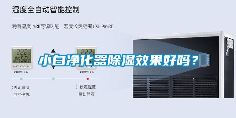 小白凈化器除濕效果好嗎？