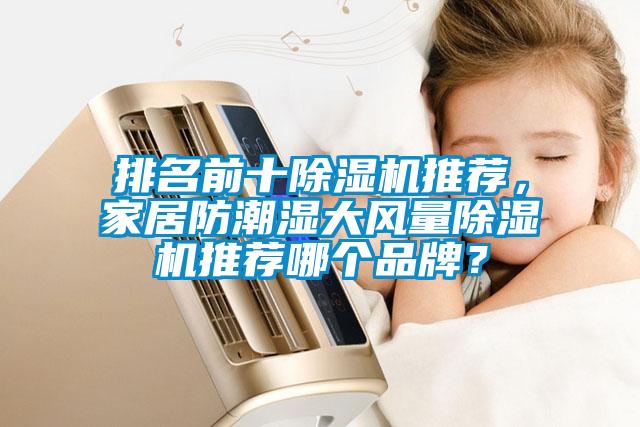 排名前十除濕機(jī)推薦，家居防潮濕大風(fēng)量除濕機(jī)推薦哪個(gè)品牌？