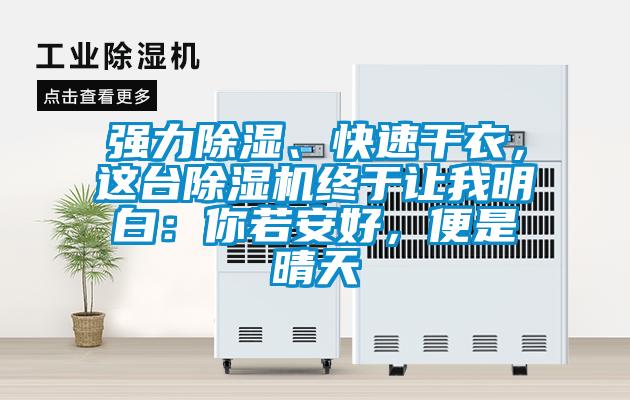 強(qiáng)力除濕、快速干衣，這臺(tái)除濕機(jī)終于讓我明白：你若安好，便是晴天