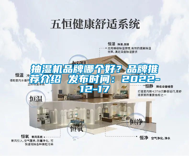 抽濕機品牌哪個好？品牌推薦介紹 發(fā)布時間：2022-12-17