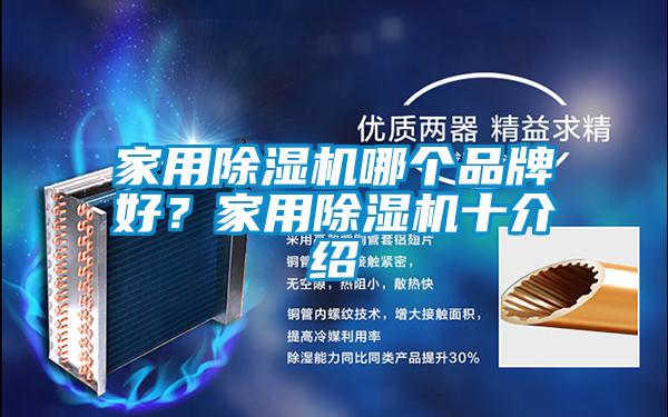 家用除濕機哪個品牌好？家用除濕機十介紹