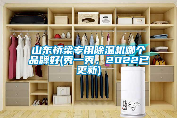 山東橋梁專用除濕機哪個品牌好(秀一秀，2022已更新)