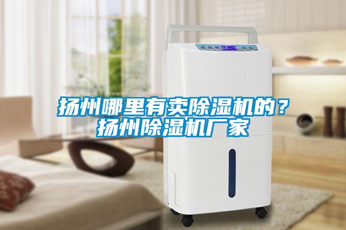 揚州哪里有賣除濕機的？揚州除濕機廠家