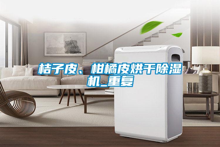 桔子皮、柑橘皮烘干除濕機_重復
