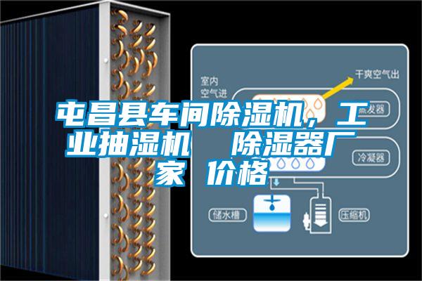 屯昌縣車間除濕機(jī)，工業(yè)抽濕機(jī)  除濕器廠家 價(jià)格