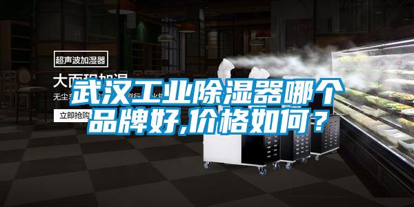 武漢工業(yè)除濕器哪個(gè)品牌好,價(jià)格如何？