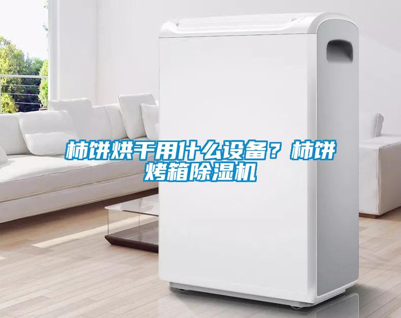 柿餅烘干用什么設(shè)備？柿餅烤箱除濕機