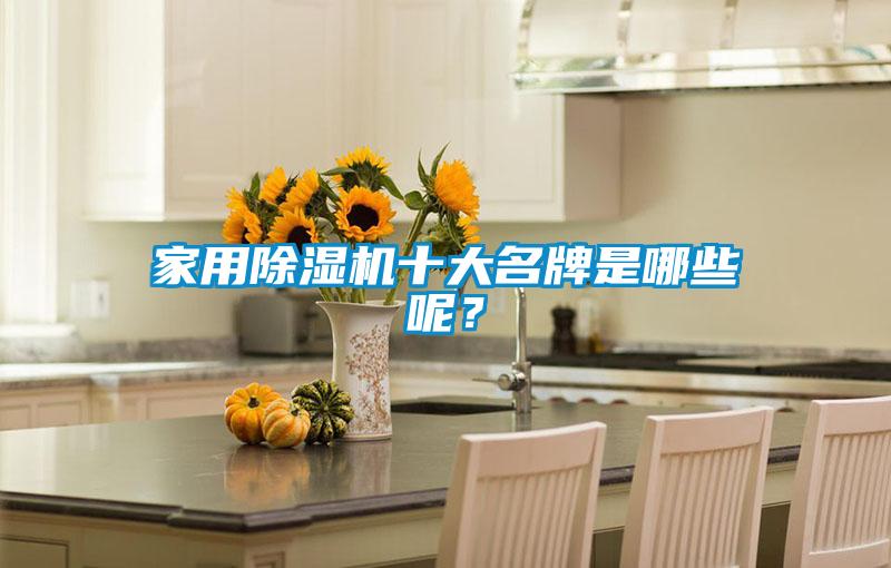 家用除濕機(jī)十大名牌是哪些呢？